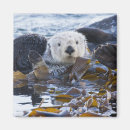 Search for sea gifts Landscape