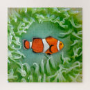 Search for clown puzzles Ocean