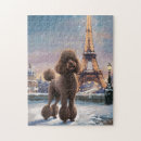 Search for poodle puzzles French
