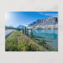 Search for mountain postcards Banff national park