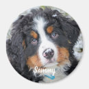 Search for pet memorial magnets In loving memory