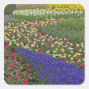 Search for tulip stickers Foliage