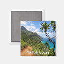 Search for hawaii souvenir magnets Tropical
