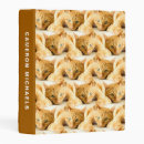 Search for orange binders Cat