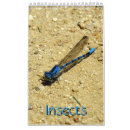 Search for insect calendars Grasshopper