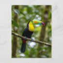 Search for costa rica postcards Travel