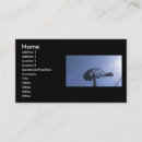 Search for sunshine business cards Photography