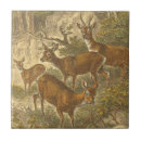 Search for deer tiles Animal
