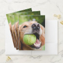 Search for puppy folders Fetch