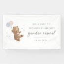 Search for gender reveal banners Boy or girl