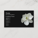 Search for magnolia flower business cards White