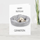 Search for veterinarian birthday cards Puppy