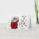 Search for san francisco christmas cards Lap dog