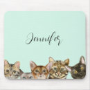 Search for maine coon cat mousepads Feline