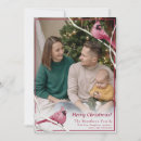 Search for cardinal photo christmas cards Red cardinal bird