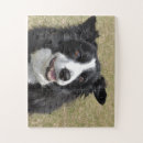 Search for border collie puzzles Cute