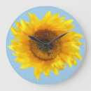 Search for yellow clocks Sun