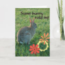 Search for funny bunny cards Bunnies