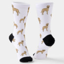Search for labrador retriever socks Pattern