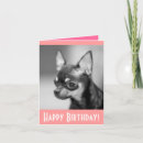 Search for chihuahua birthday cards Puppies