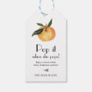 Search for pop when she pops tags Citrus