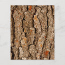 Search for nature scrapbook paper Rustic