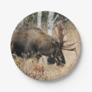 Search for moose paper plates Wild animals