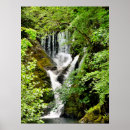 Search for waterfall posters Trees