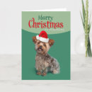 Search for yorkie christmas cards Pet