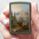 Search for hunting lighters Wildlife