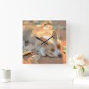 Search for corgi clocks Dog