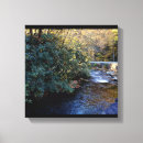 Search for river canvas prints tennessee