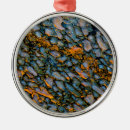 Search for fossil ornaments Dinosaur