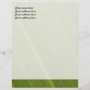 Search for palm tree stationery paper Leaf