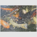 Search for koi fish tissue paper Nature