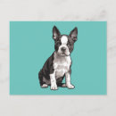 Search for boston postcards Cute