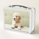 Search for puppy lunch boxes Dog