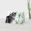 Search for cat pet sympathy cards Bridge