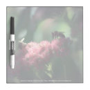 Search for pink dry erase boards Summer