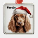Search for cocker spaniel dog ornaments English
