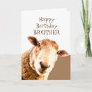 Search for funny sheep birthday cards Happy