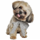 Search for dog photo statuettes Cat