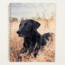 Search for pet sitting planners Cute