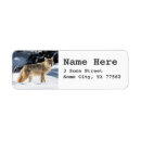 Search for snow scene return address labels Fox