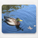 Search for duck mousepads Blue