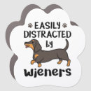 Search for dachshund magnets Wiener