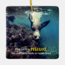 Search for sea lion ornaments Wildlife