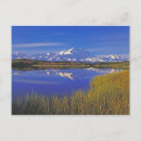 Search for denali alaska postcards Nature