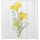 Search for california shower curtains Poppy