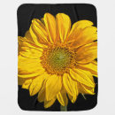 Search for sunflower photo blankets Petals